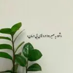 دانلود آهنگ اهای خبر نداری از محسن چاوشی